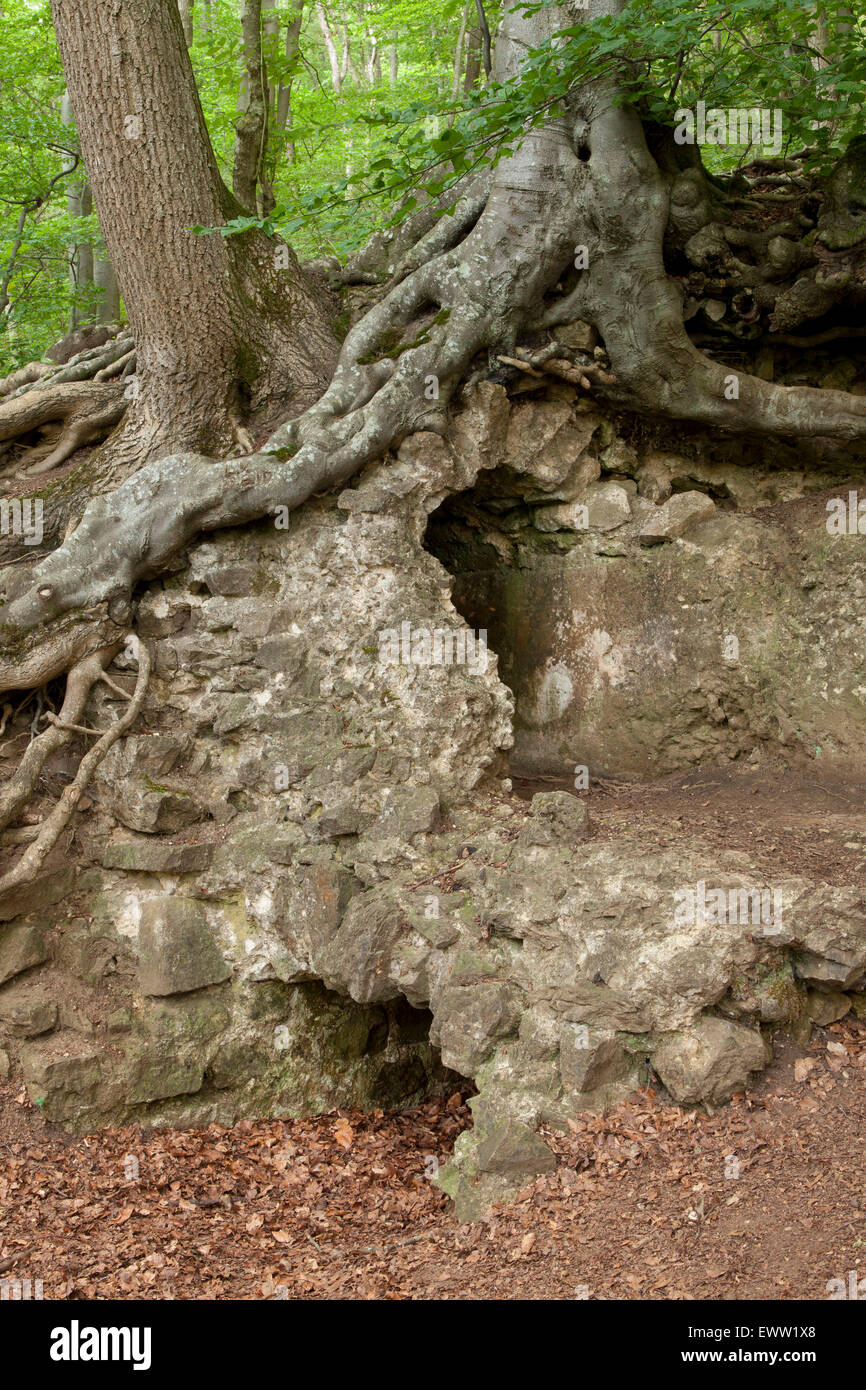 Europa, Deutschland, Nordrhein-Westfalen, Urft, Relikt aus der römischen Wasserleitung in der Nähe von Burg Dalbenden (mit einem Abstand von 95,4 Stockfoto