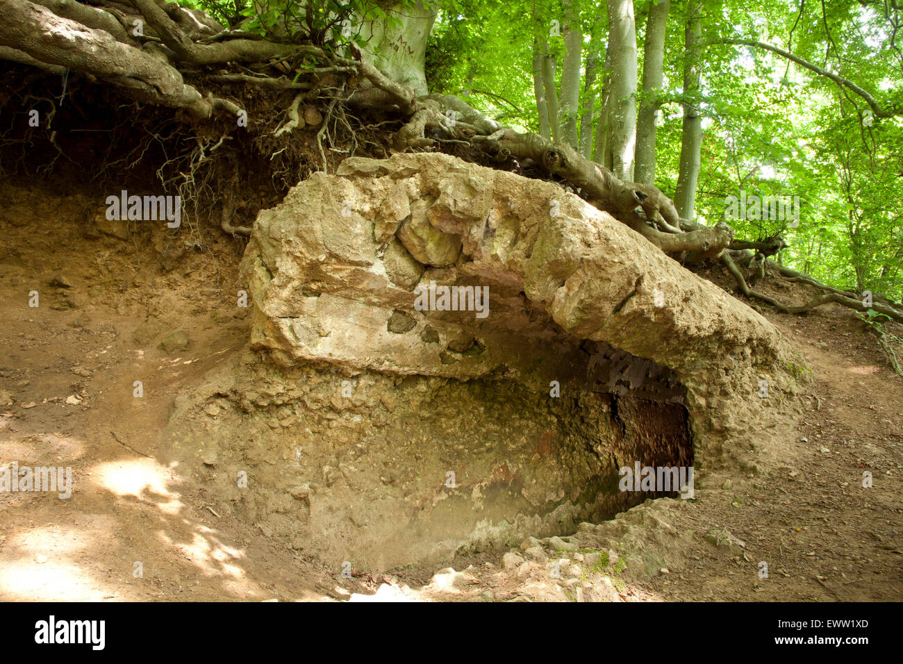 Europa, Deutschland, Nordrhein-Westfalen, Urft, Relikt aus der römischen Wasserleitung in der Nähe von Burg Dalbenden (mit einem Abstand von 95,4 Stockfoto