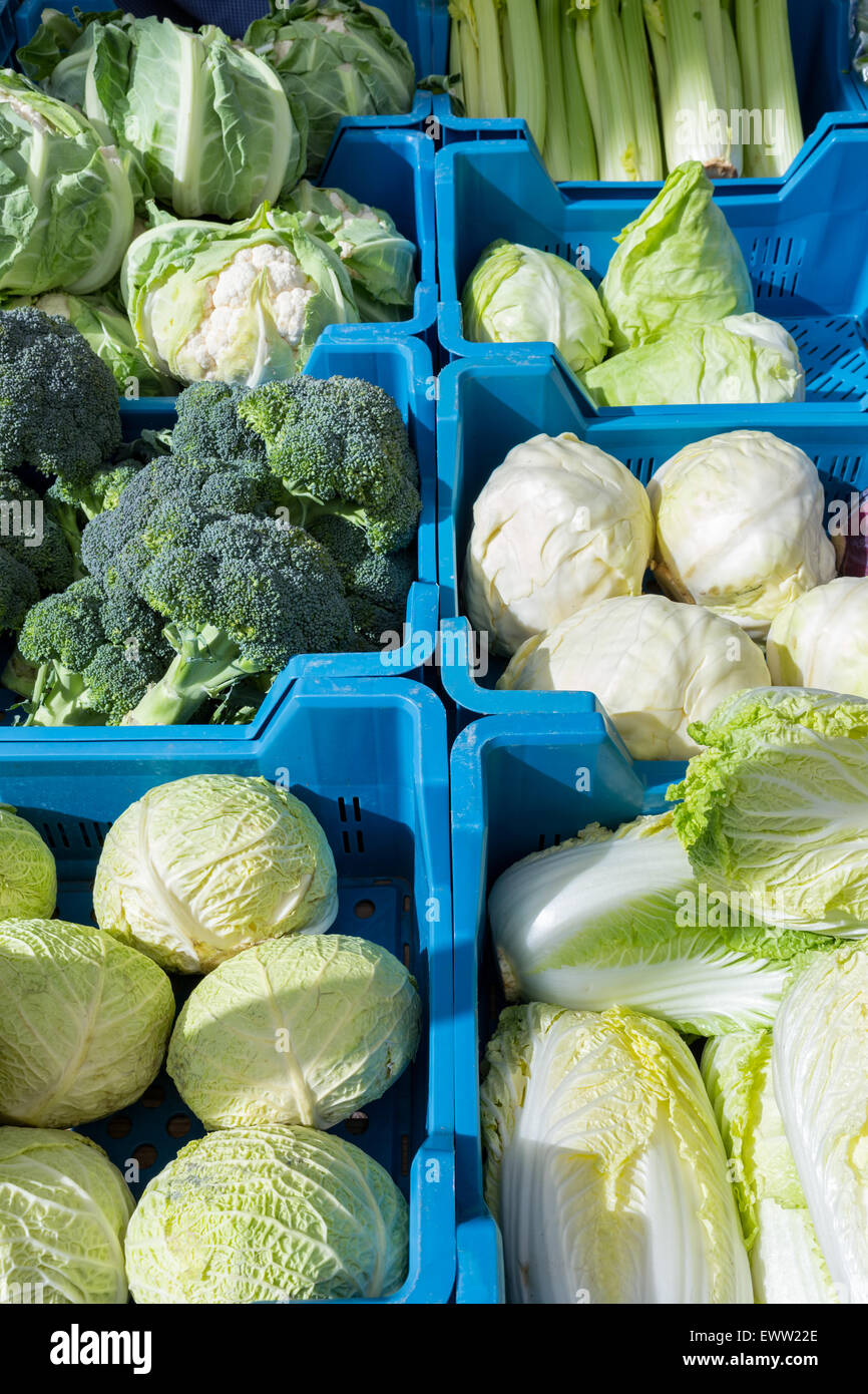 Sortiment von Grün mit weißen Kohl als Gemüse in blauen Kisten auf Markt Stockfoto