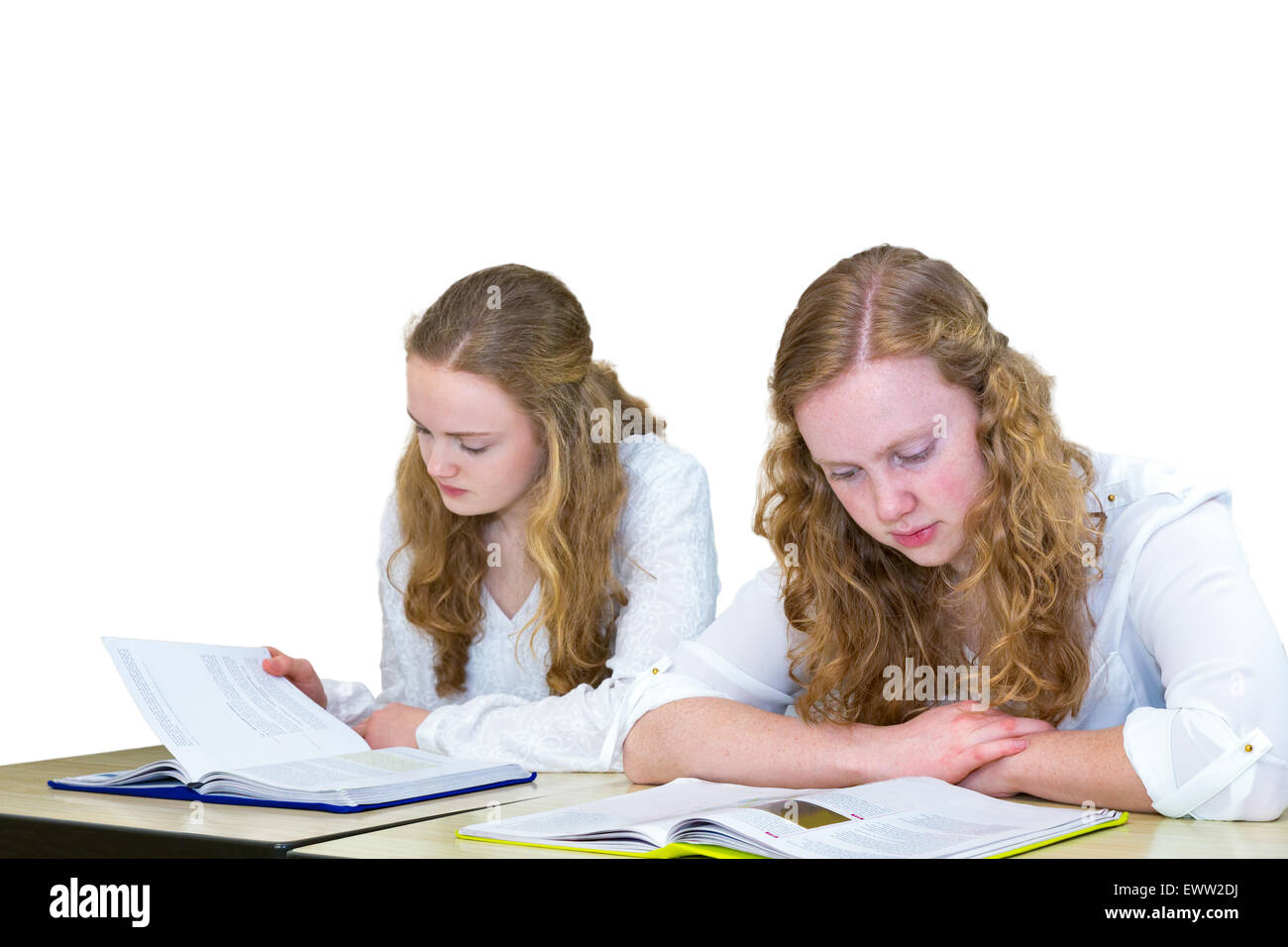 Zwei kaukasischen Teenager Freunde studieren Schulbücher für Bildung isoliert auf weißem Hintergrund Stockfoto