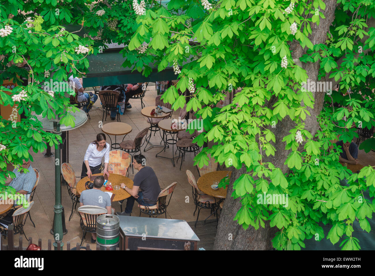 Cafe Bar Sommer, durch Sommer Laub von einer Kellnerin mit zwei junge Männer auf der Terrasse des Cafés in der Mala Strana Viertel von Prag, Tschechische Repub. Stockfoto