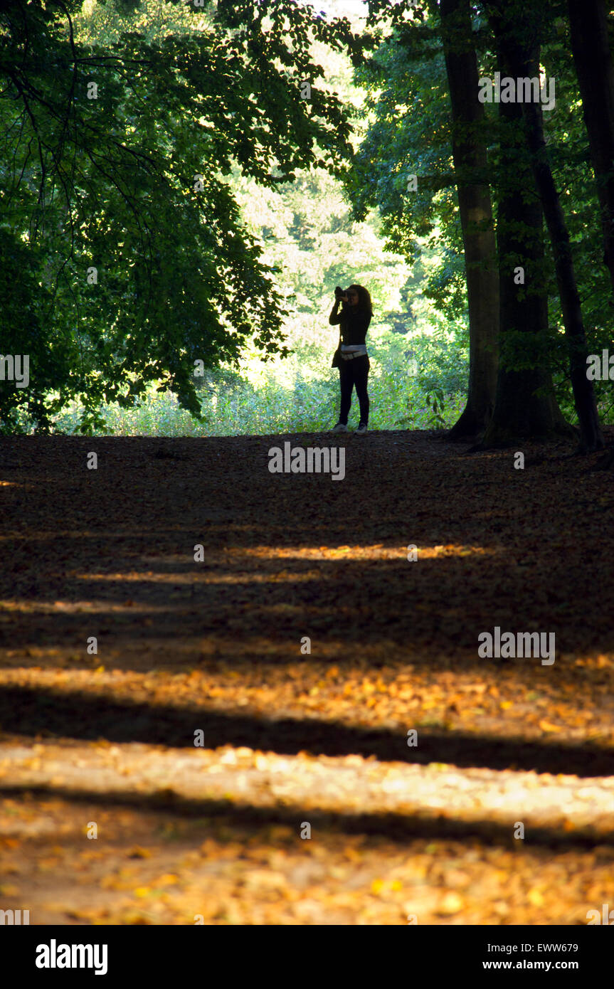 Frau, die das Fotografieren in den Wald Stockfoto