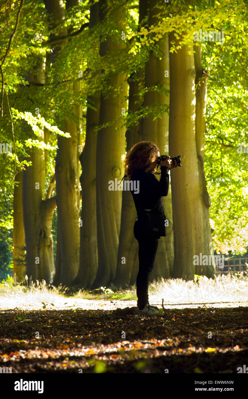 Frau, die das Fotografieren in den Wald Stockfoto