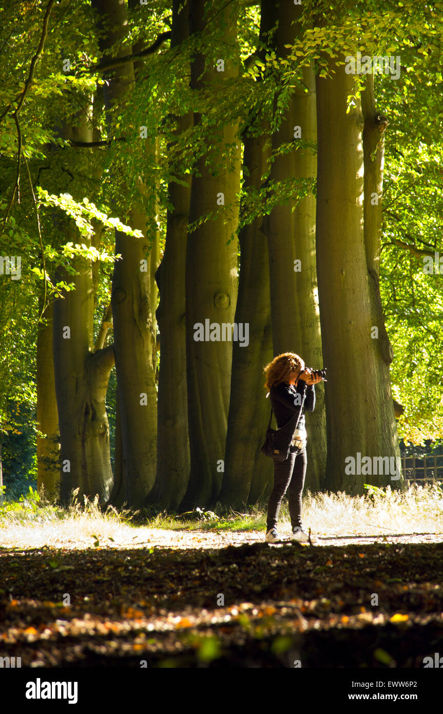 Frau, die das Fotografieren in den Wald Stockfoto