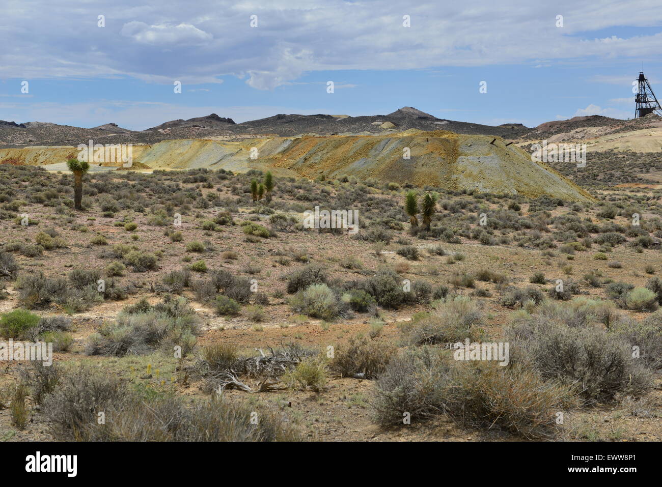 Goldfield, Nevada Goldbergbau Altstadt, wo das Gold in der ersten Hälfte des 20. Jahrhunderts beendet Stockfoto