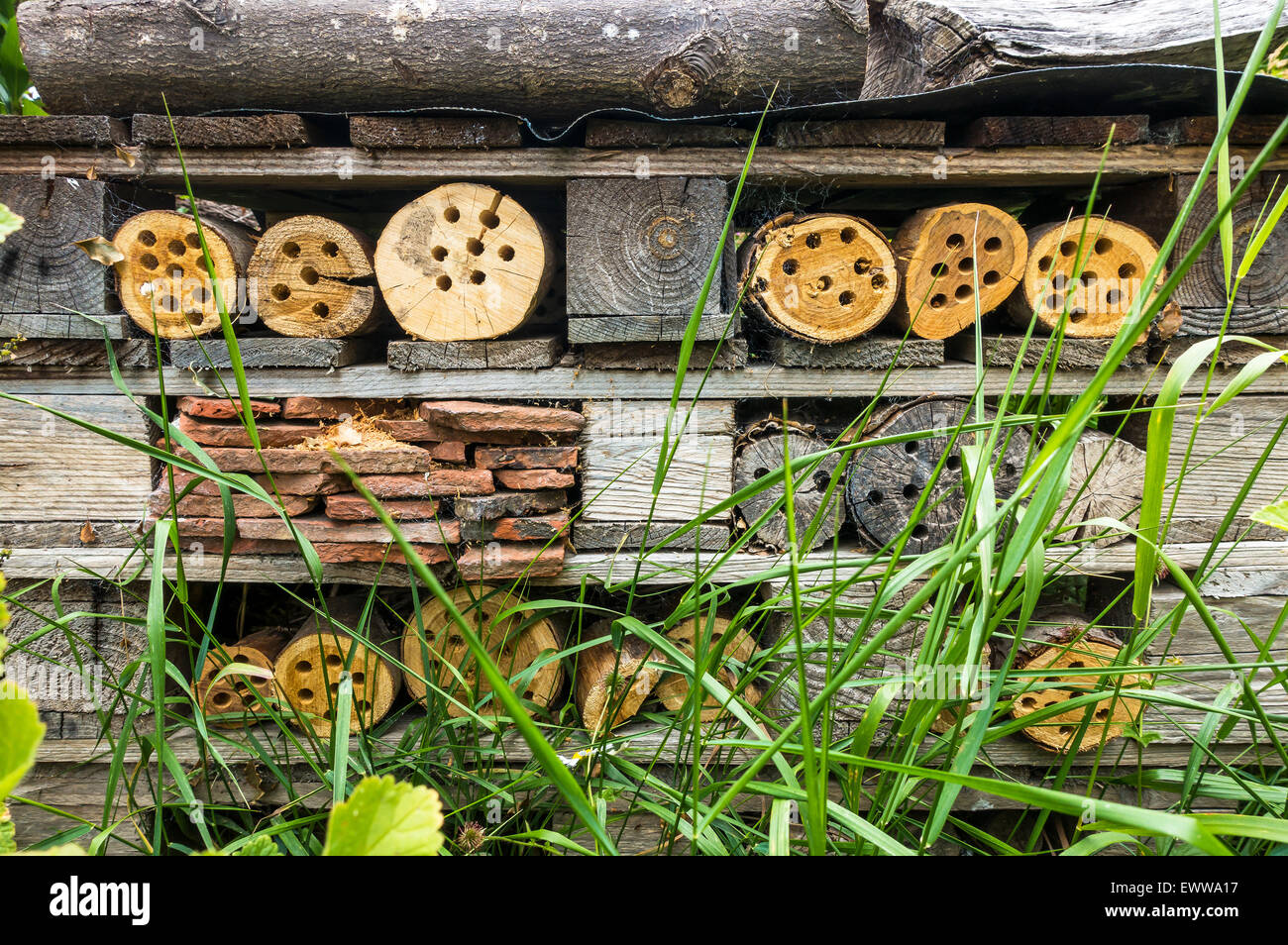 Rustikale Bienen und Insekten Hotel Stockfoto