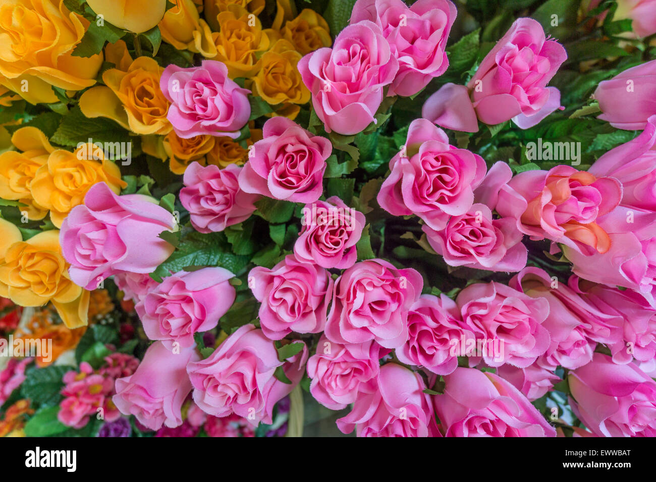 Blumen, Blumenmarkt, Nizza, Alpes Maritimes, Provence, Côte d ' Azur, Mittelmeer, Frankreich, Europa, Stockfoto