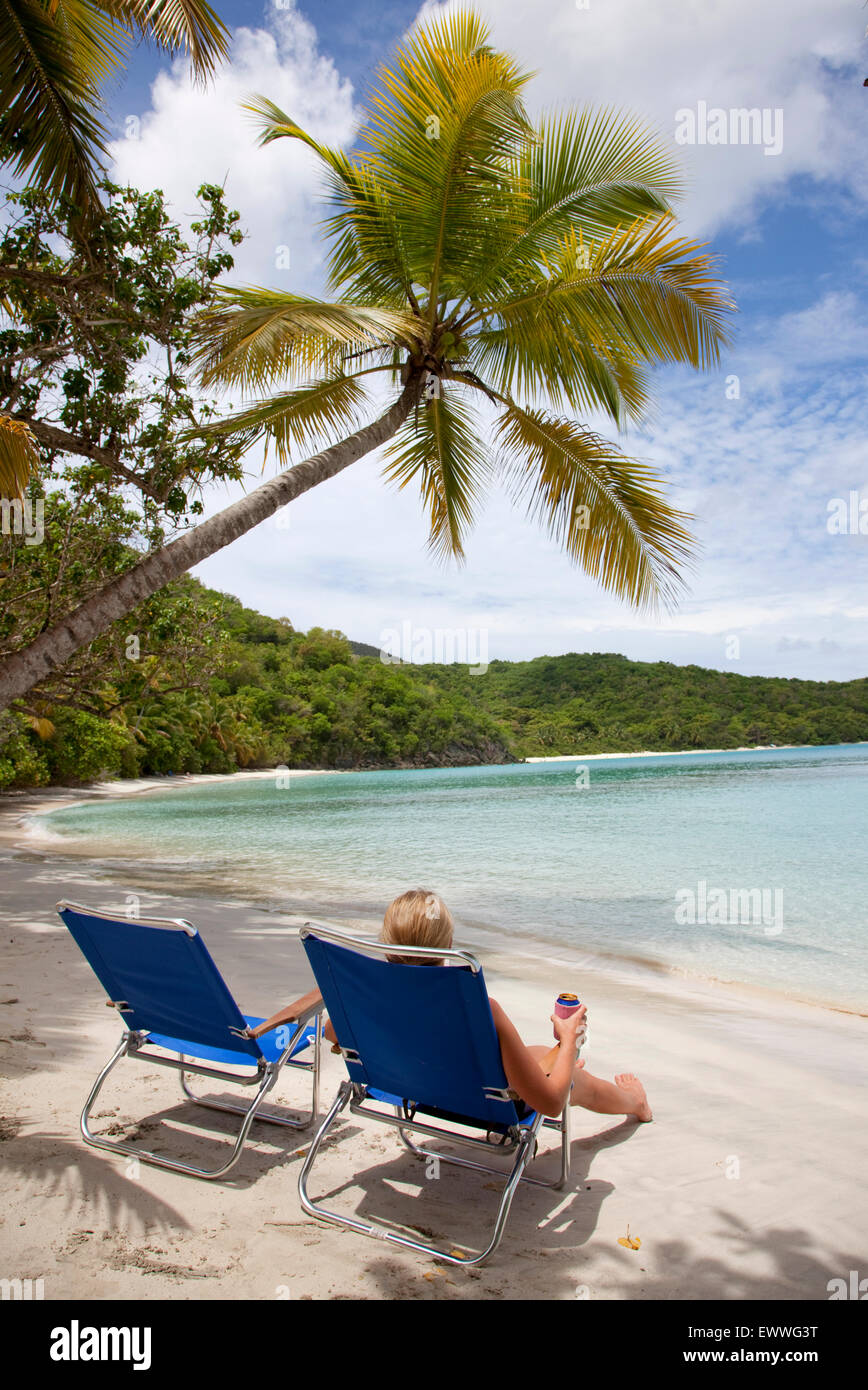 Palmen säumen Oppenheimer und Gibney Strand an der Nordküste der Insel St. John in den US Virgin Islands. Stockfoto