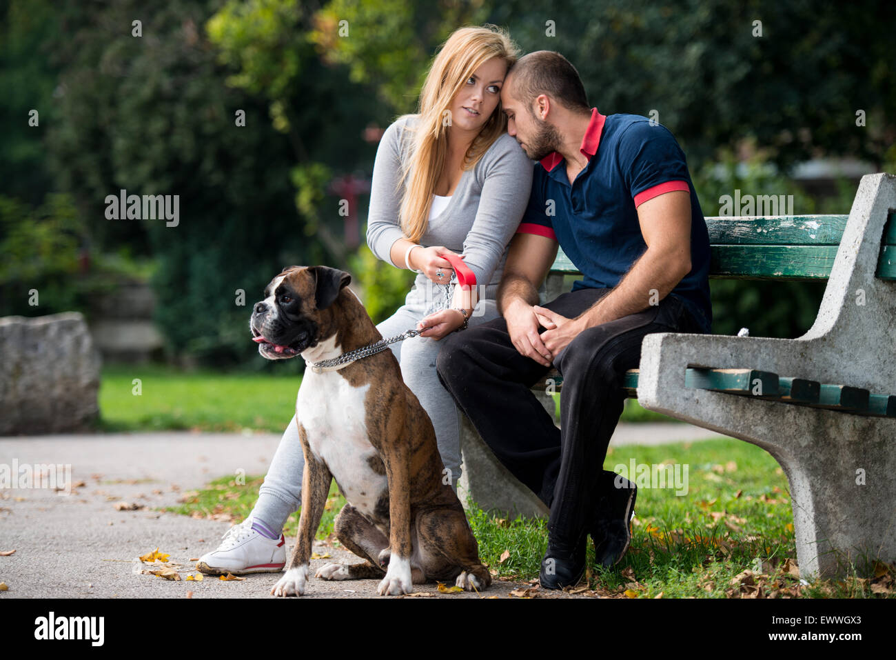 Hübsche junge Familie mit Hunden Stockfoto