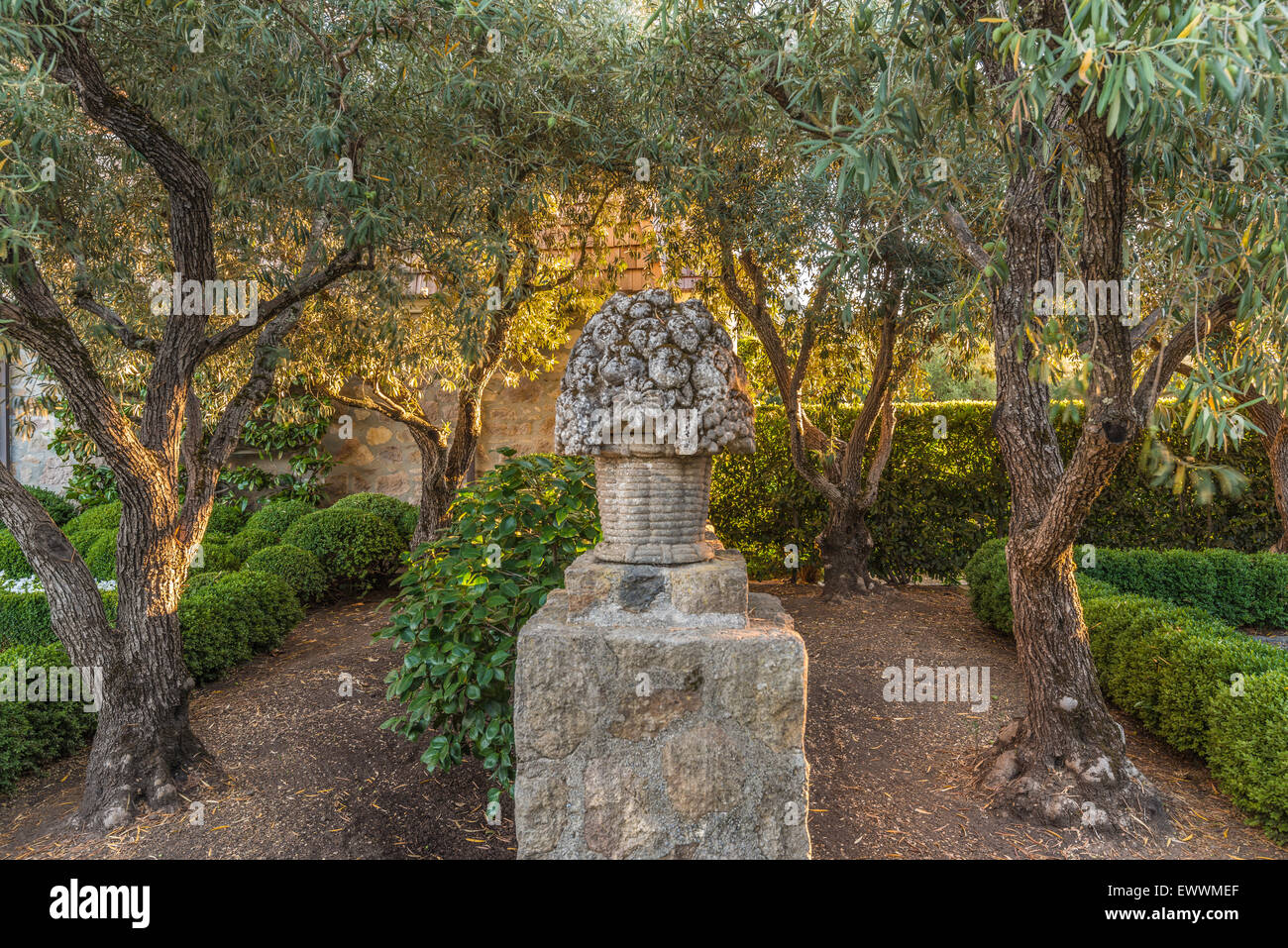 Napa Valley Home Garten mit Olivenbäumen und Statuen aus Stein Stockfoto