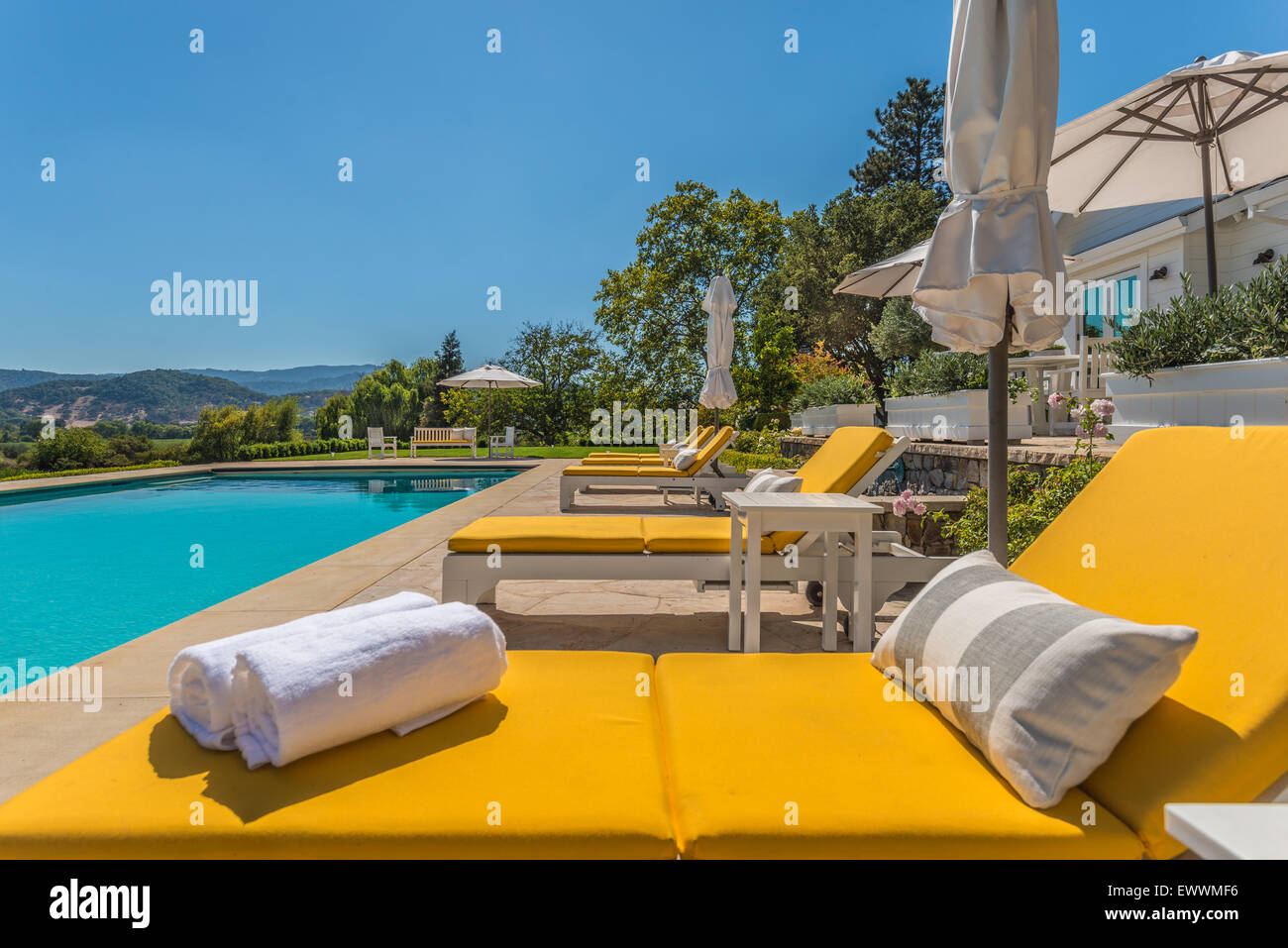 Moderne, helle gelbe Liegestühle am Pool Stockfoto