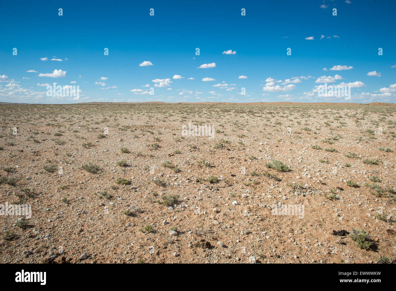 Khalagadi Transfrontier Park, Südafrika - afrikanischen Offenland am Mittag Stockfoto