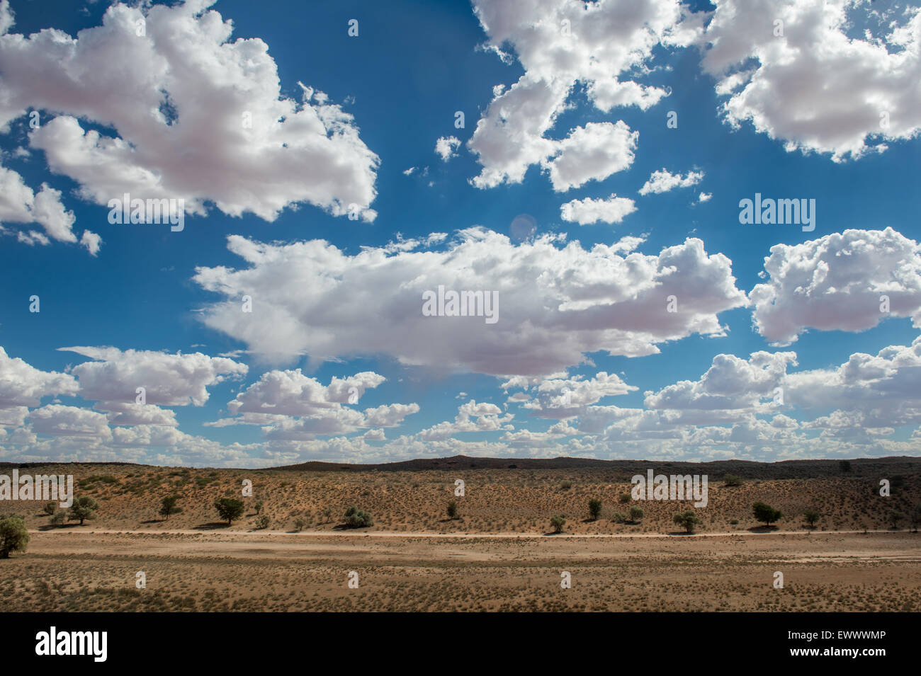 Südafrika - Landschaft am Mittag Khalagadi Transfrontier Park Aucherlonie Museum Stockfoto