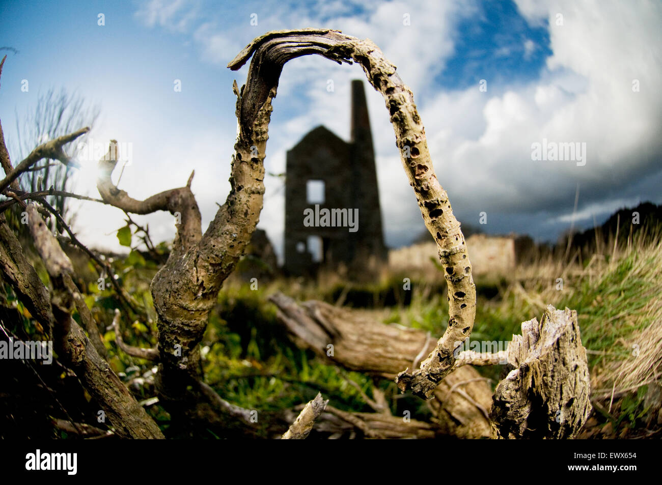 Alte Zinn-Minen in Redruth, Cornwall Stockfoto