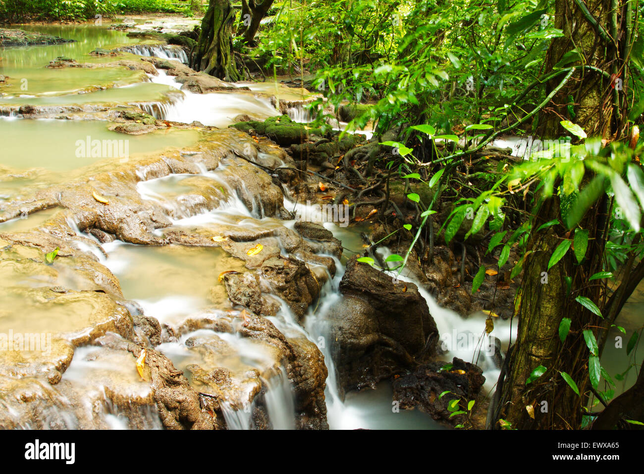 Tief im Wald Wasserfall, schöne Natur in Thailand Stockfoto