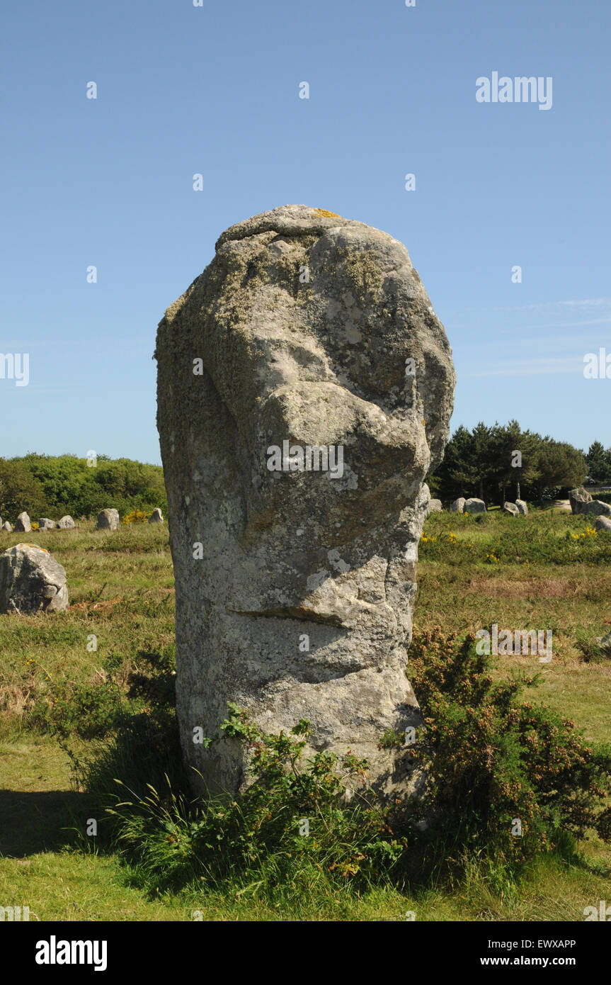 Eines der größten des weltberühmten standing Stones in Carnac in der Bretagne, sagte Kopf und das Gesicht des Riesen ähneln. Stockfoto