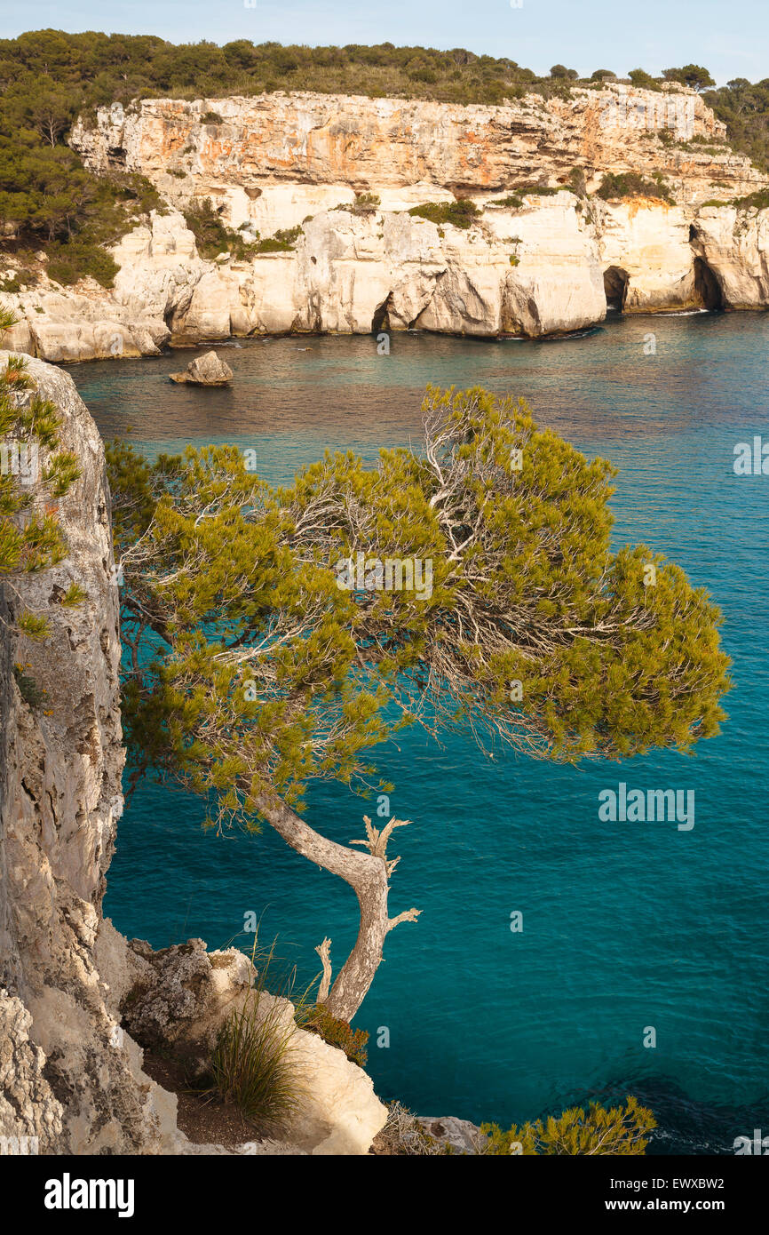 Macarella und Macarelleta Strand. Minorca. Balearen-Inseln. Spanien. Europa Stockfoto