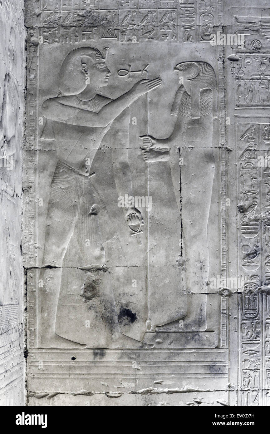 Abydos, Ägypten, die Totentempel des Pharao Seti i., Menmaatra, (XIX ° dyn. 1321-1186 v. Chr.)-der König, die Anbetung des Gottes Horus Stockfoto