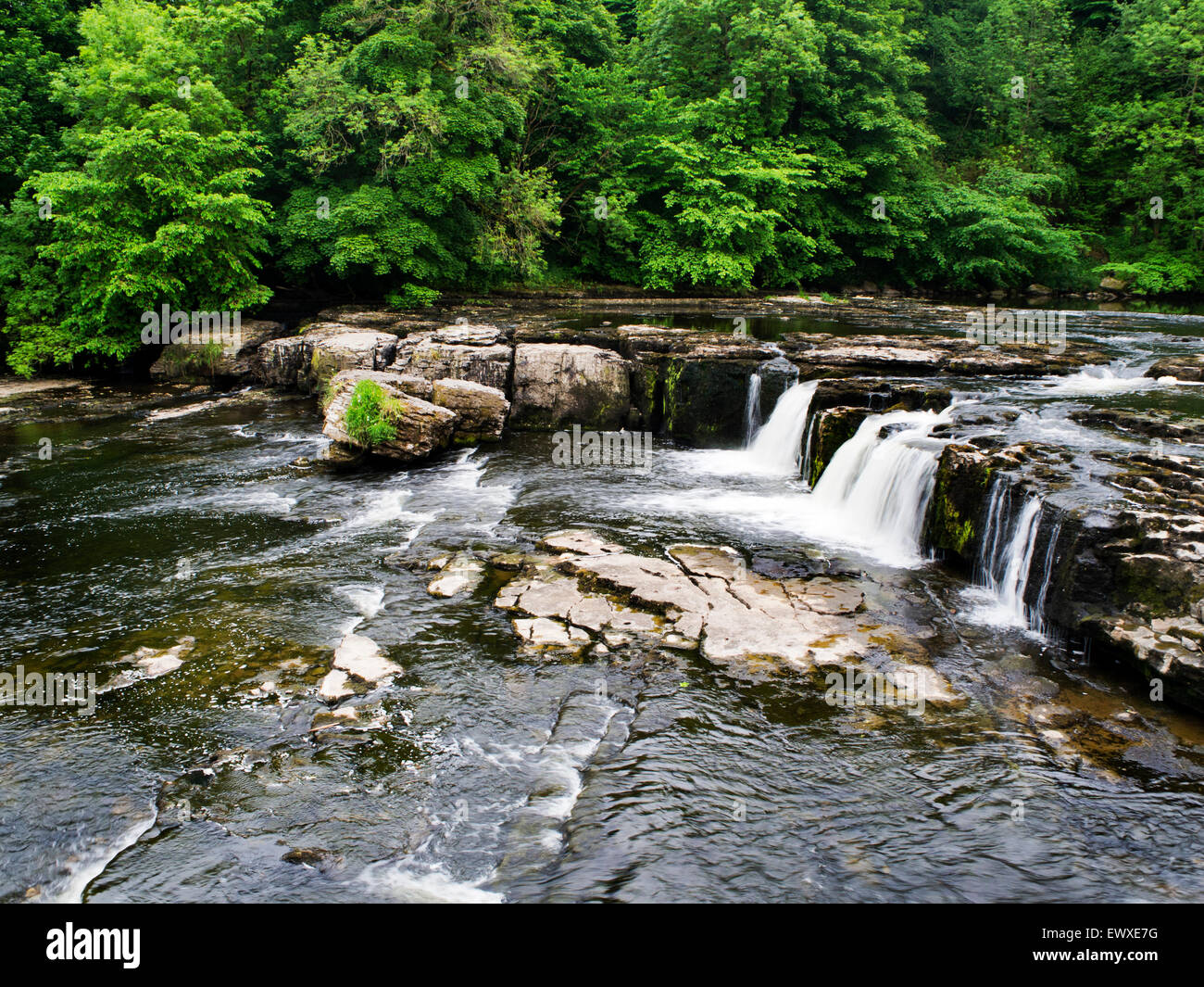 Upper Aysgarth Falls in Wensleydale nach trockenem Wetter im Sommer Yorkshire Dales North Yorkshire England Stockfoto