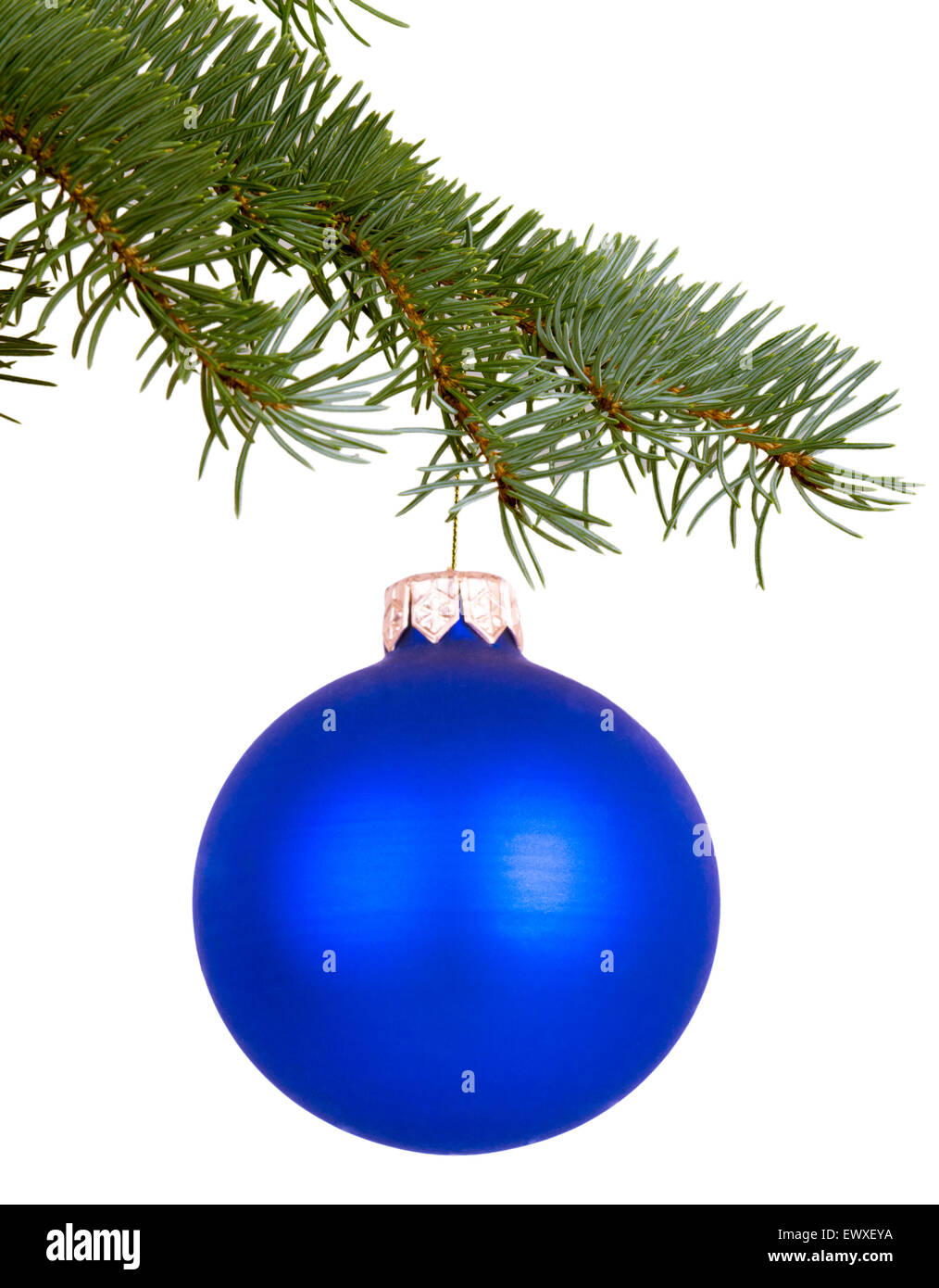 Blaue Weihnachtsspielzeug auf einem Ast Stockfoto
