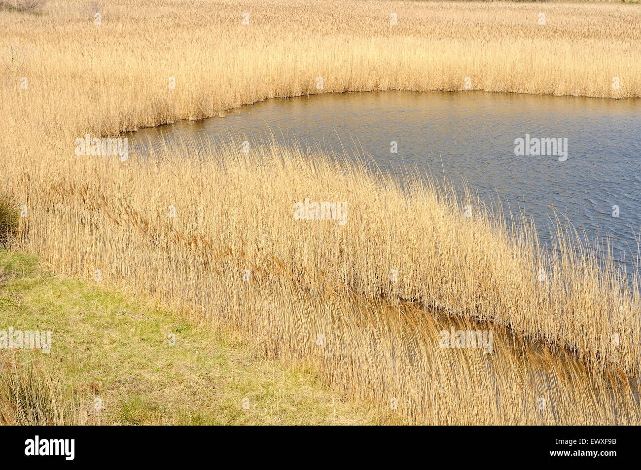 Blick auf eine Laggon im Montgrí, Medes-Inseln und Baix Ter Natural Park. Girona. Katalonien. Spanien. Stockfoto