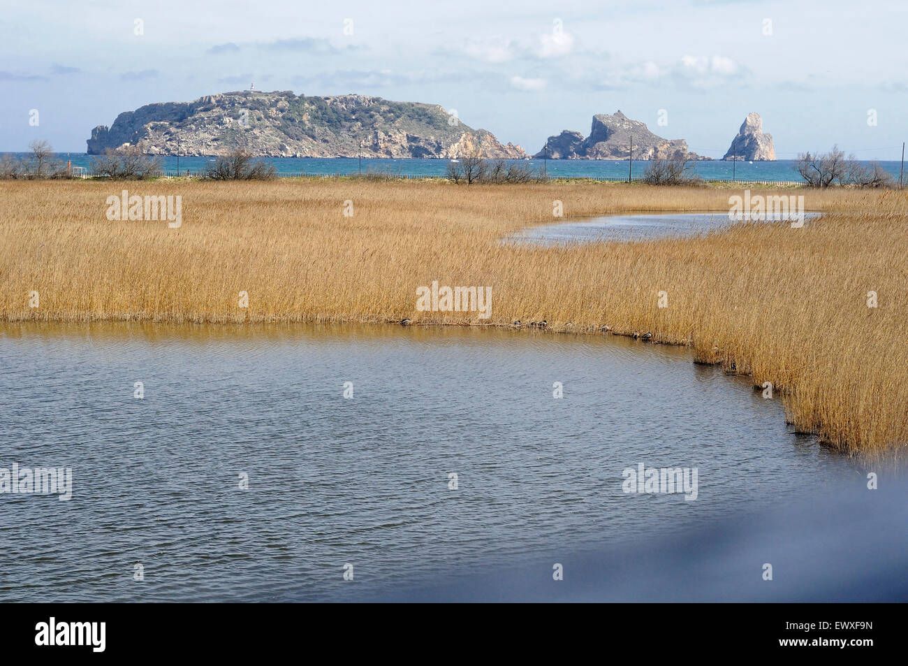 Ansicht der Medas Inseln (Illes Medes) im Montgrí, Medes-Inseln und Baix Ter Naturpark. Girona. Katalonien. Spanien. Stockfoto