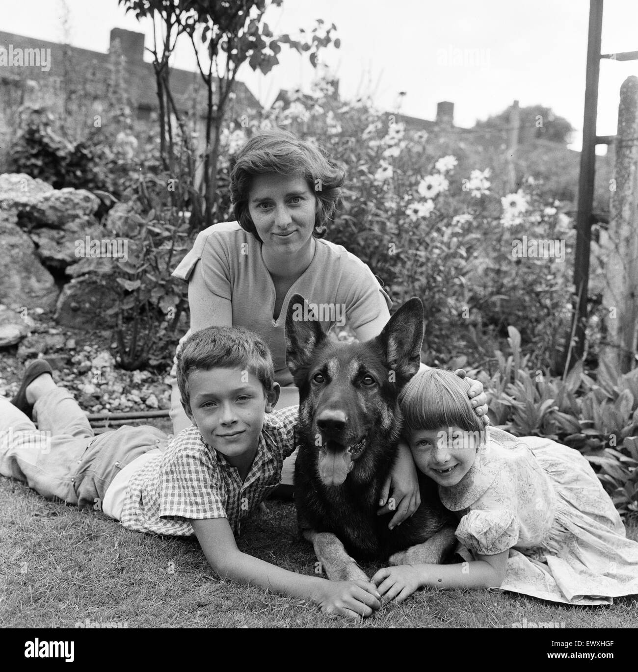 Gegen Gebühr £75 pro Bild bis zu 1/4 Seite - £95 für 1/2 Seite ab, der tapfere elsässischen Hund, der ein Feuer entdeckt und hob den Alarm... und das Leben einer Familie gerettet. Mit ihm AreLeslie Chandler 8 und Schwester Christine 7, zwei von den Leuten, die er gerettet. Er entdeckt Stockfoto