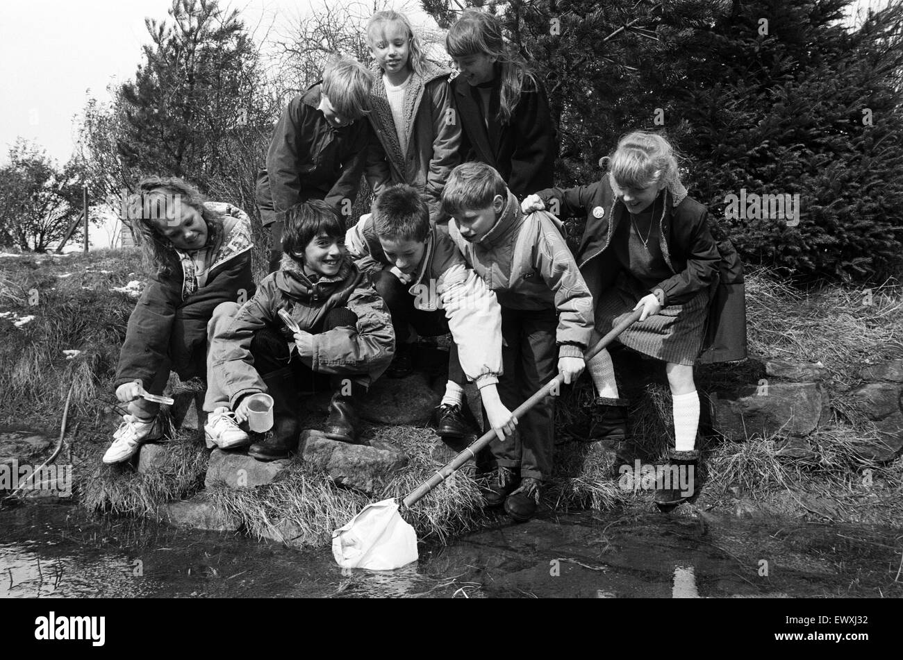 Aufräumen... Meltham County Primary School Schüler arbeiten in der Erhaltung-Regelung, die ihnen einen £200 Award des Nature Conservancy Council gewonnen hat. Die Schule ist daran interessiert, Jugendlichen eine aktive Rolle in der Umgebung zu fördern und hat previousl Stockfoto