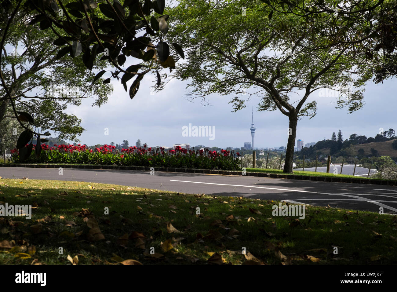Blick über Auckland von Cromwell Park, Neuseeland. Stockfoto