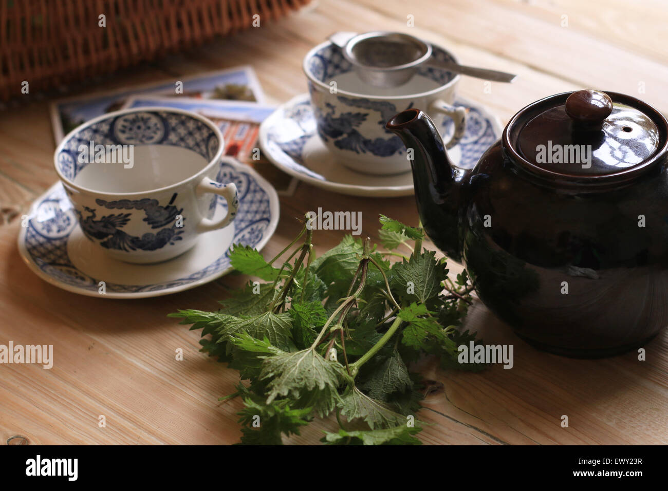 Hausgemachte Brennnessel-Tee Stockfoto
