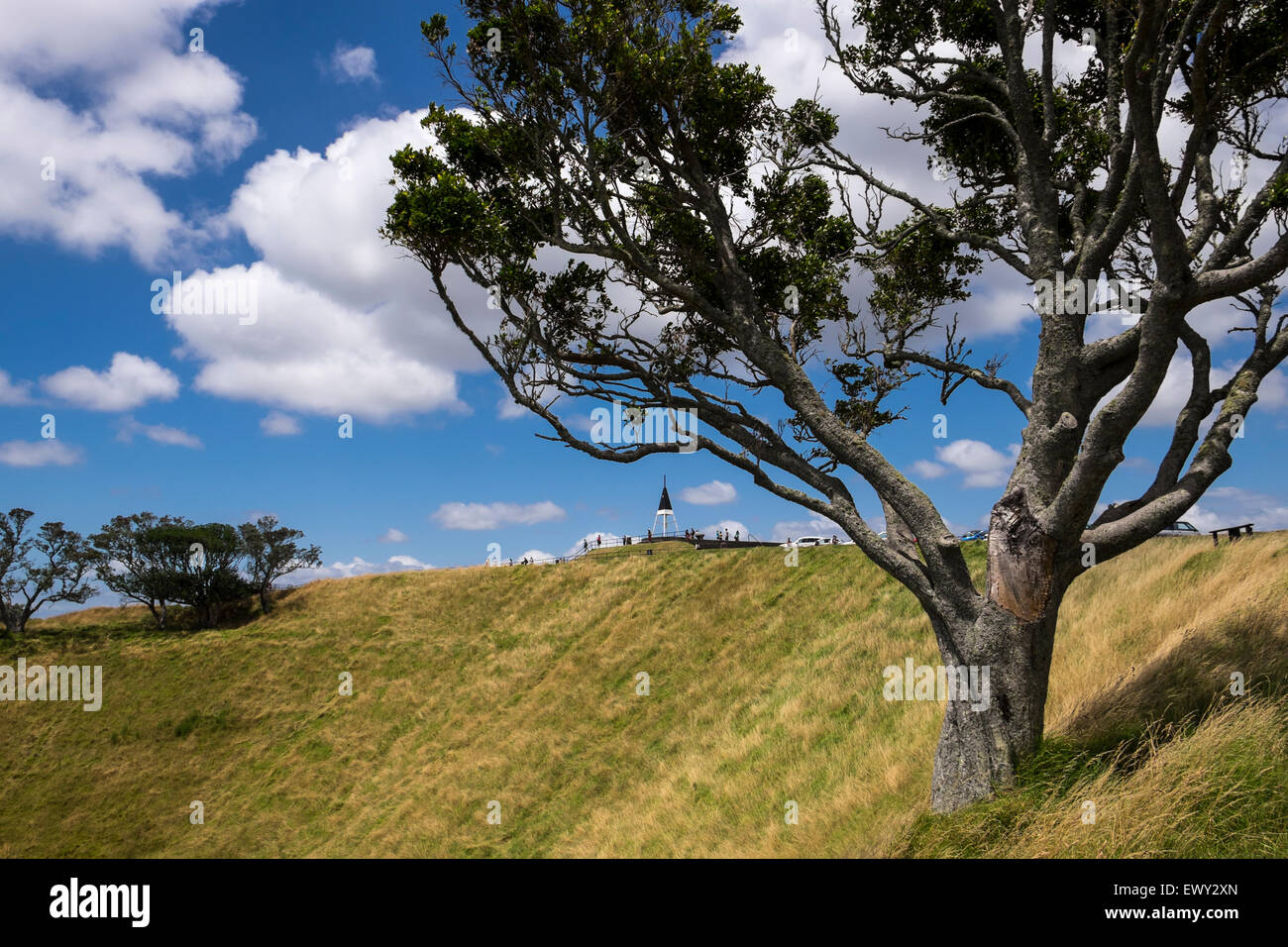 An der Spitze des Mount Eden, Maungawhau, in Auckland, Neuseeland. Stockfoto