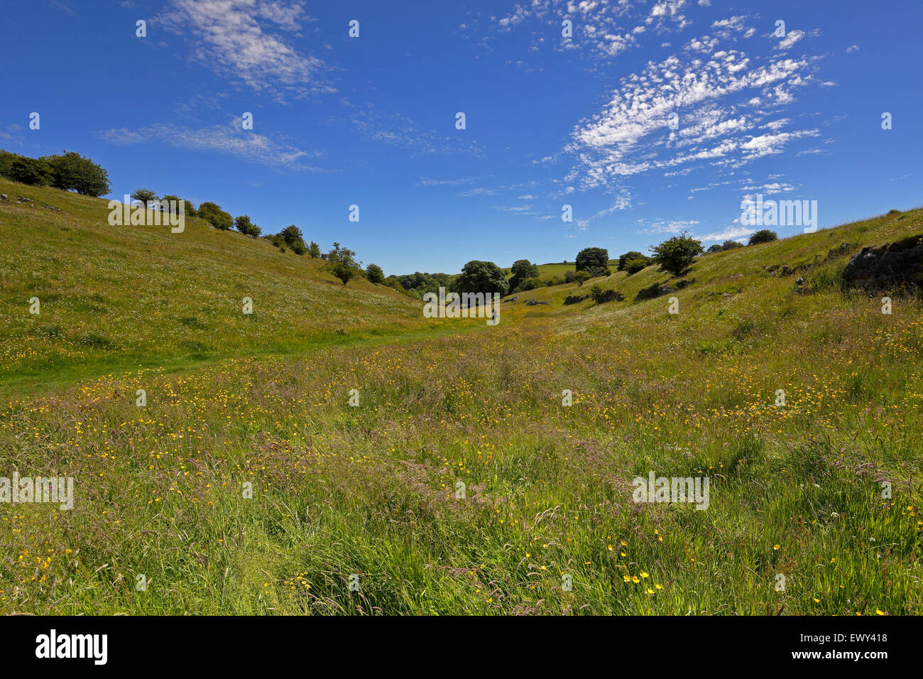 Wanderer im oberen Lathkill Dale trockene Tal, Peak District National Park, Derbyshire, England, UK. Stockfoto