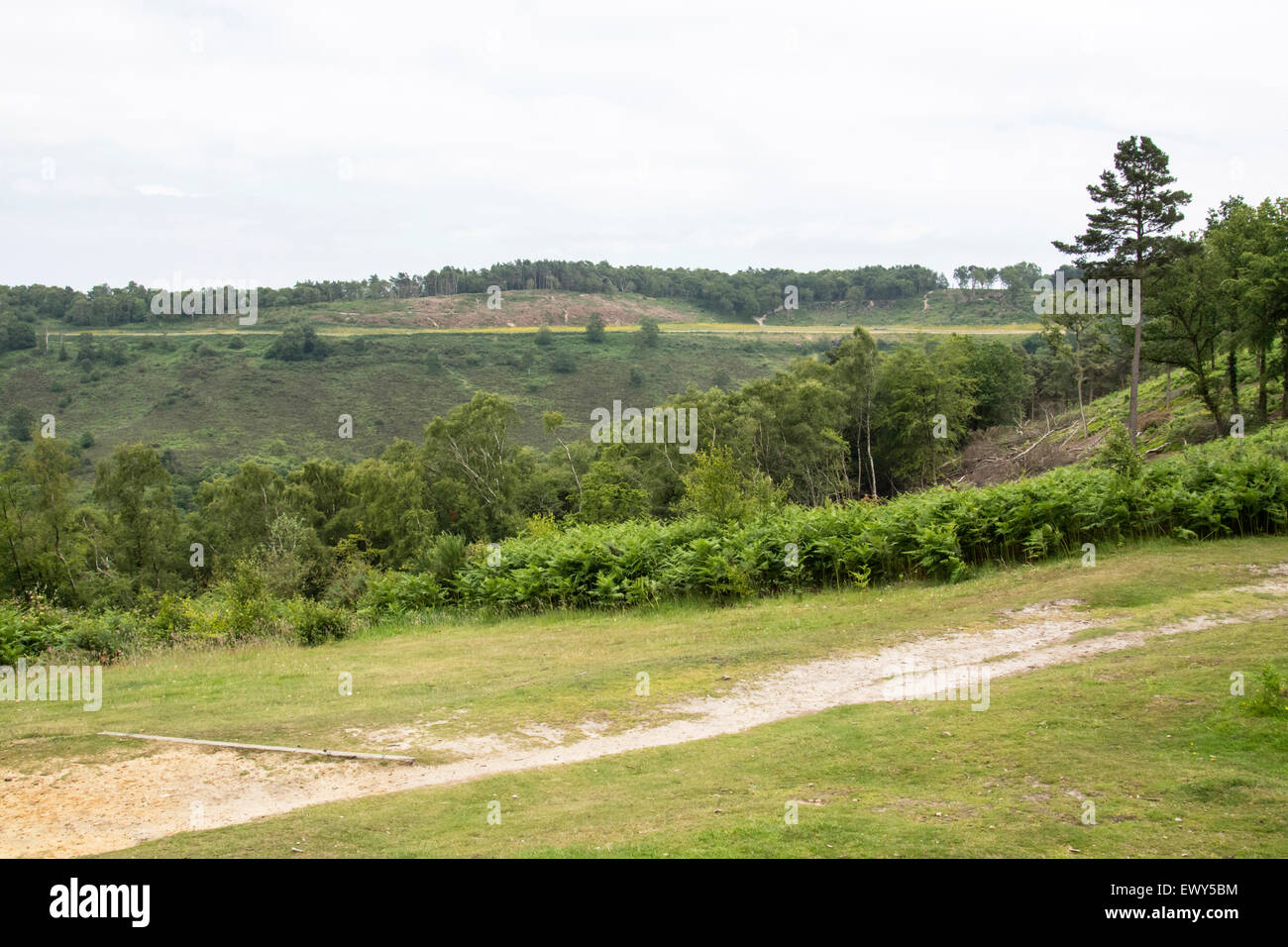 Linie der alten A3, Teufels Punchbowl, Hindhead, Surrey. Die Straße wurde entfernt und die Ökologie des Standortes wird restauriert Stockfoto