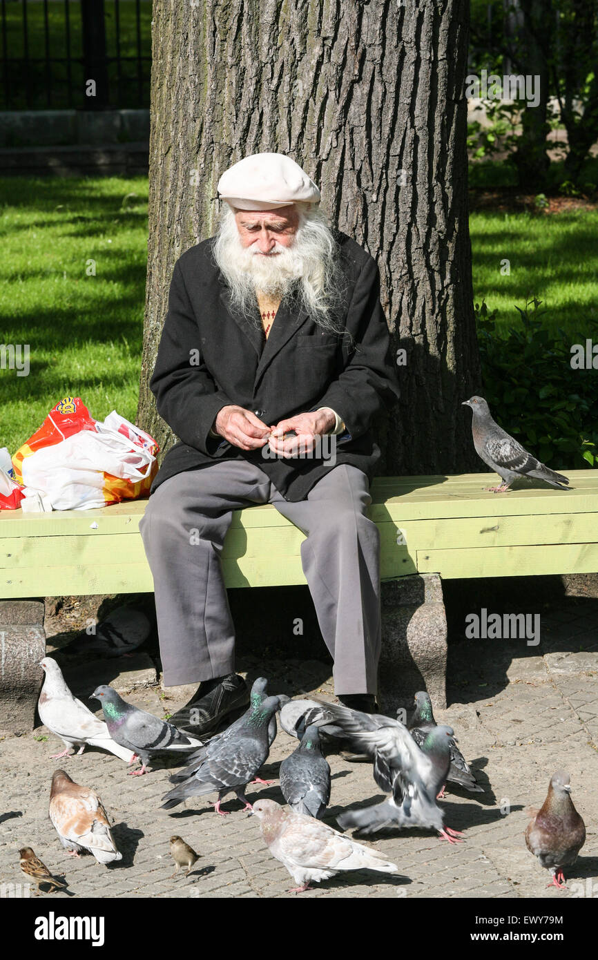 Lokale Mann füttern Tauben im Esplanade Park in der Nähe der Altstadt, im Zentrum von Riga, die Hauptstadt von Lettland. Mai.  © Paul Quayle Stockfoto