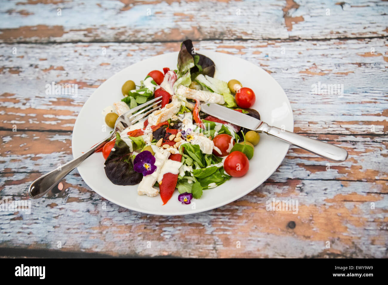 gesund, Salat, Tomaten, Kirschtomaten, geröstete Paprika, geröstet, Oliven, grüne Oliven, Pinienkernen, Feta-Käse, glutenfrei, Stockfoto