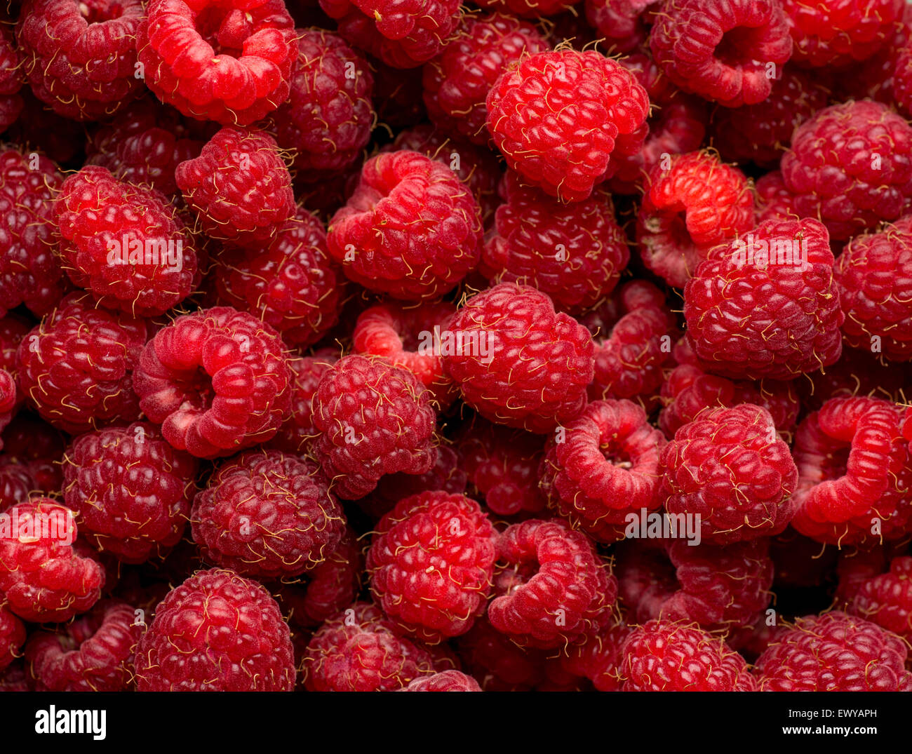 Himbeer Frucht Hintergrund Stockfoto