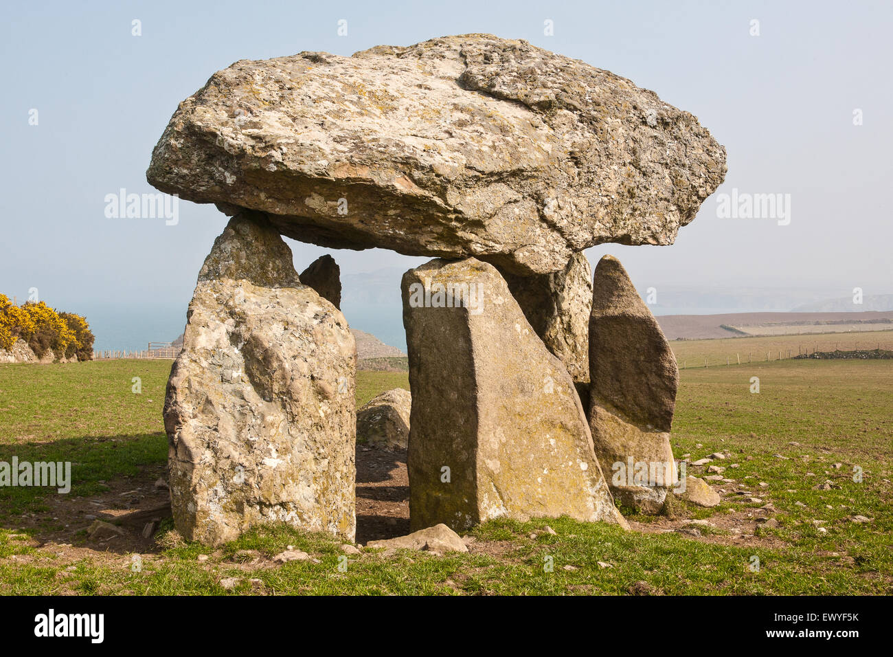 Careg Sampson (Carreg Samson) Dolmen /burial Kammer, Südwesten von Wales. Diese neolithische Struktur oberhalb der Bucht von Abercastle hat eine c Stockfoto