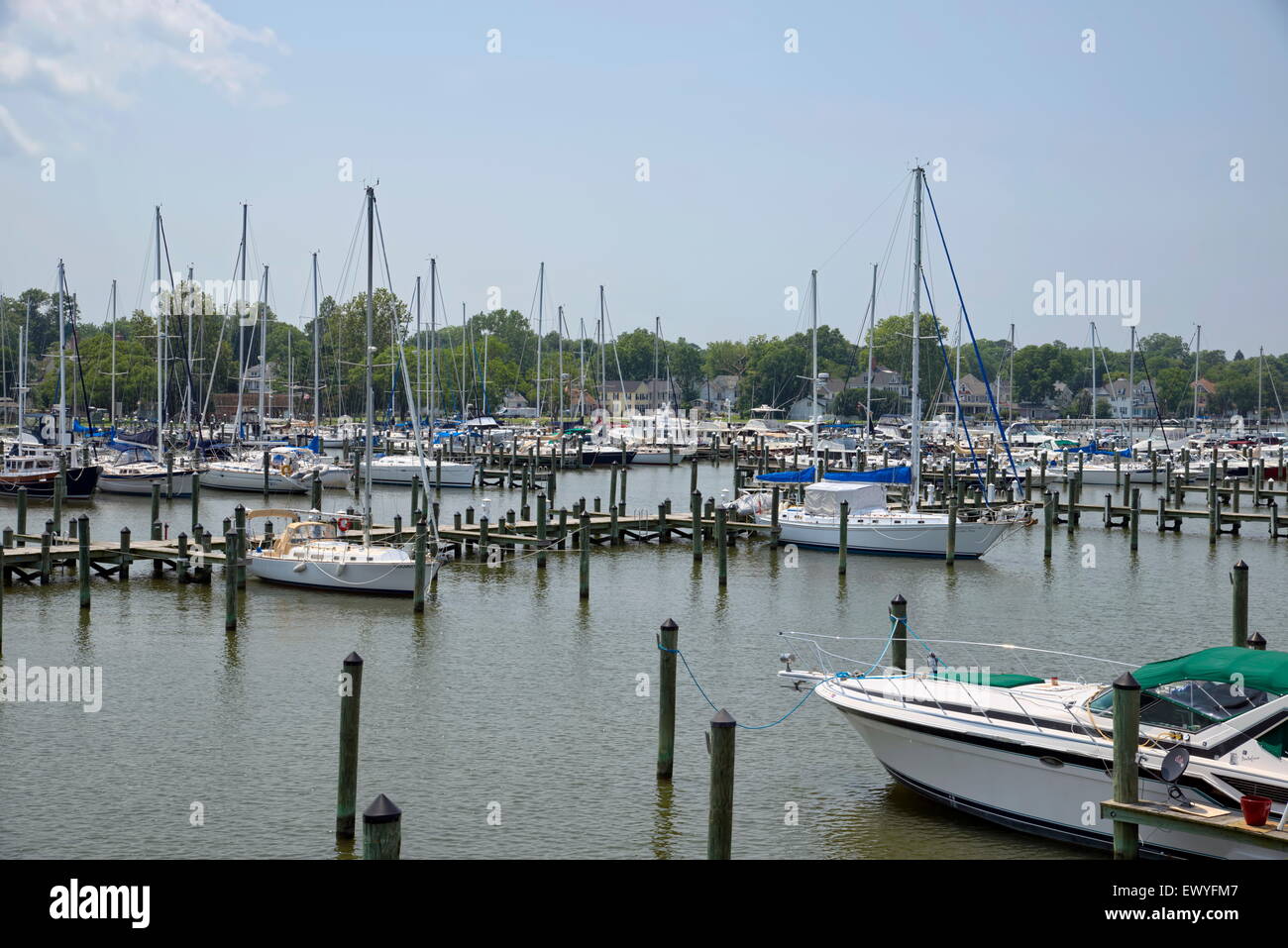 Segelboote mit Rollsegeln werden an der Cambridge, MD Marina angedockt. Stockfoto