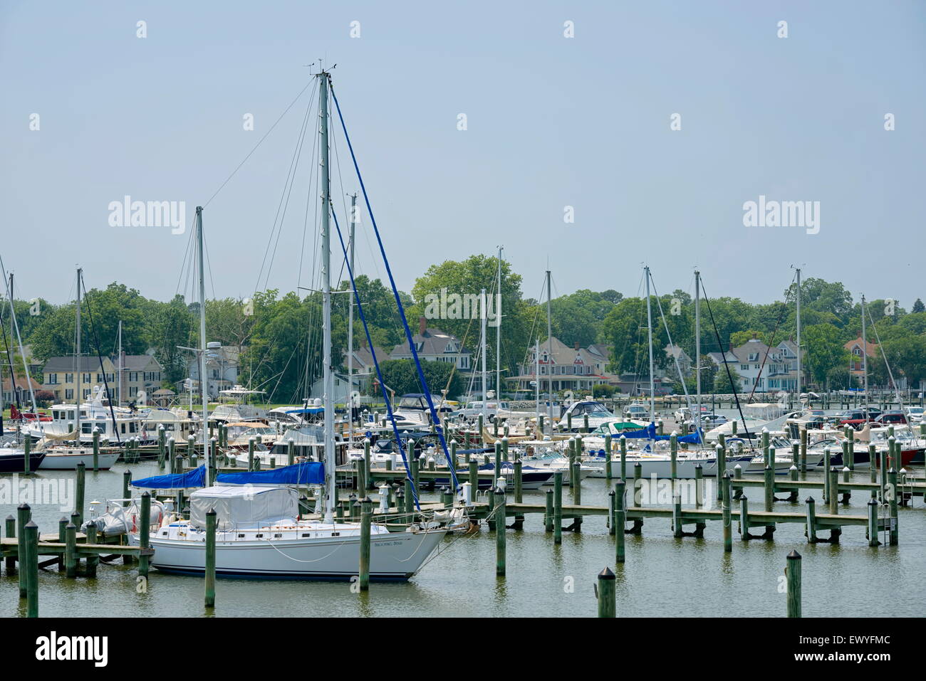 Segelboote mit Rollsegeln werden an der Cambridge, MD Marina angedockt. Stockfoto