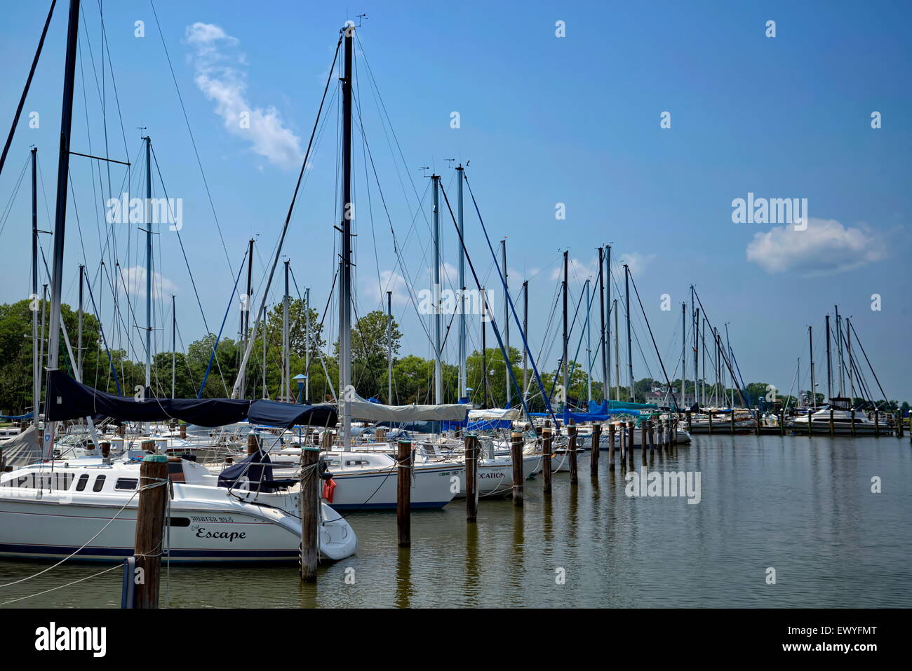 Segelboote mit Rollsegeln werden an der Cambridge, MD Marina angedockt. Stockfoto