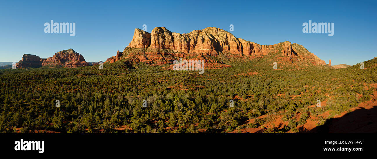 Munds Mountain Wilderness, Arizona, USA Stockfoto