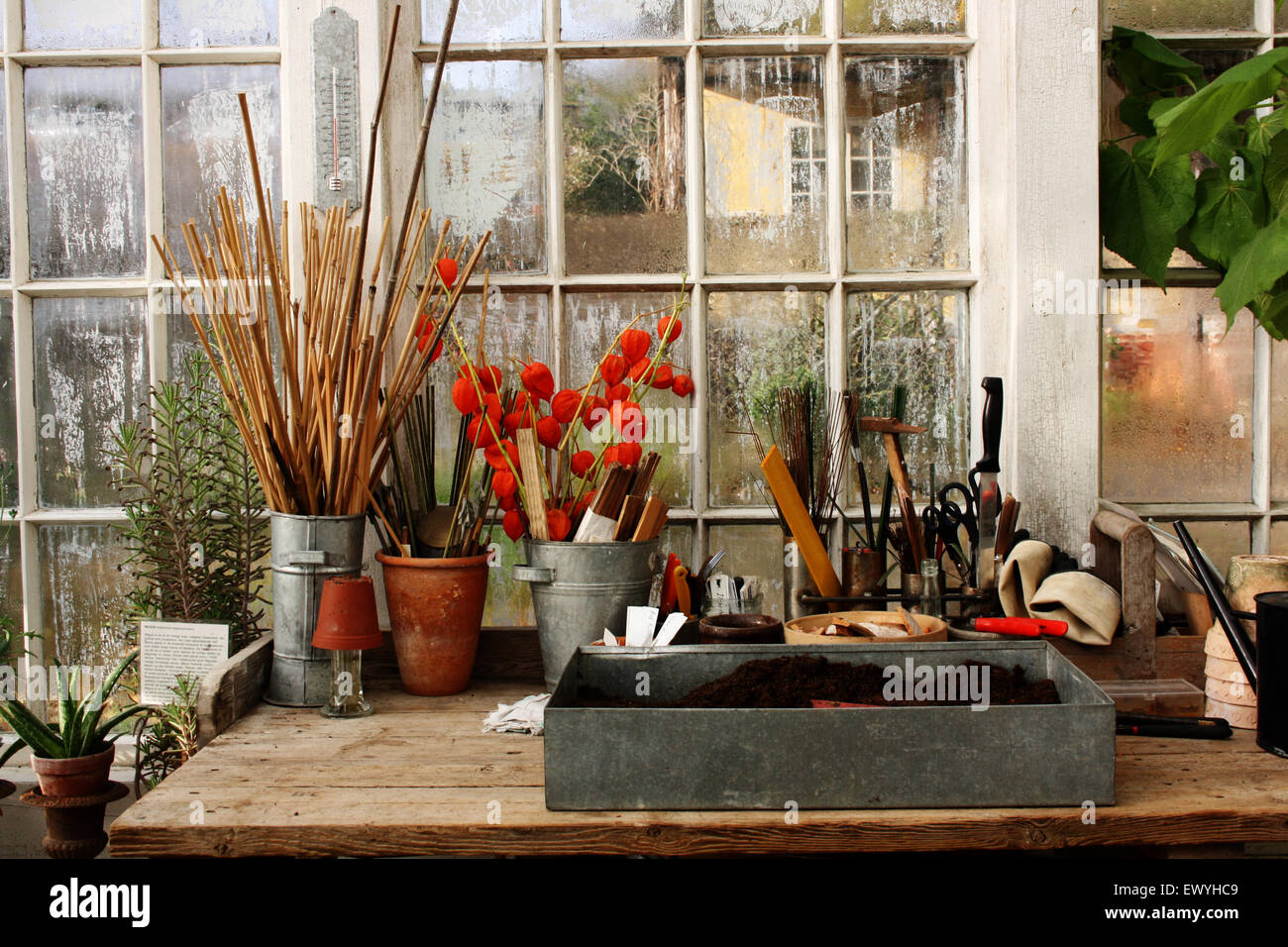 Stillleben mit Tisch mit Werkzeugen und Gartengeräten Stockfoto