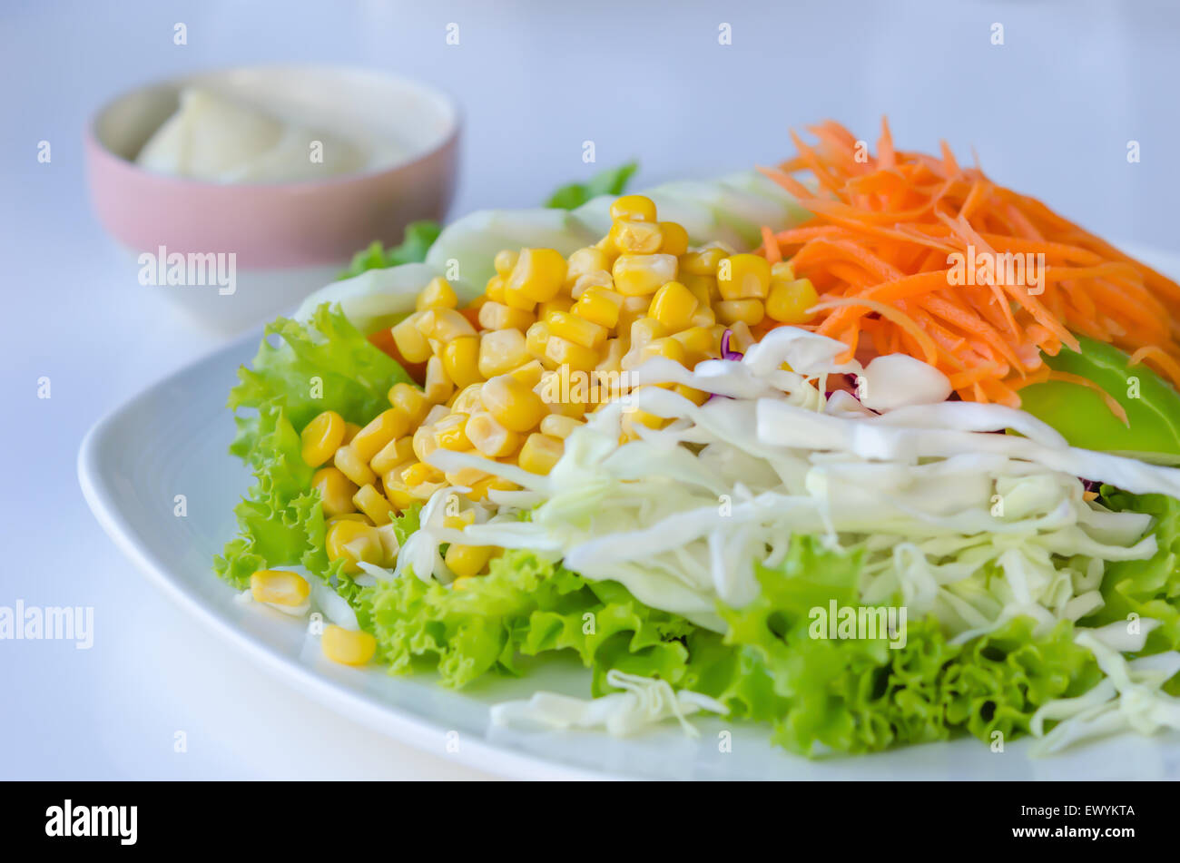 frischer Salat mit Früchten und gemischtes Gemüse auf Teller serviert mit weißen Sahne-sauce Stockfoto