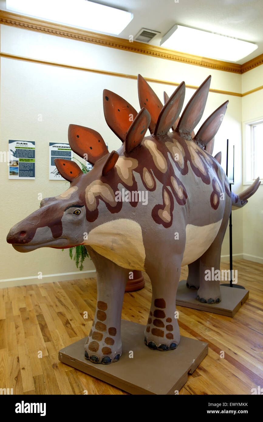 Modell der Stegosaurus Dinosaurier, Dinosaurier Ridge Discovery Center, Morrison, Colorado USA Stockfoto