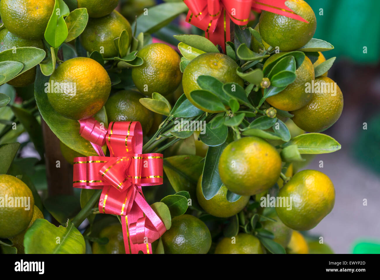 Limetten und rote Schleife mit natürlichen Sonnenlicht Stockfoto