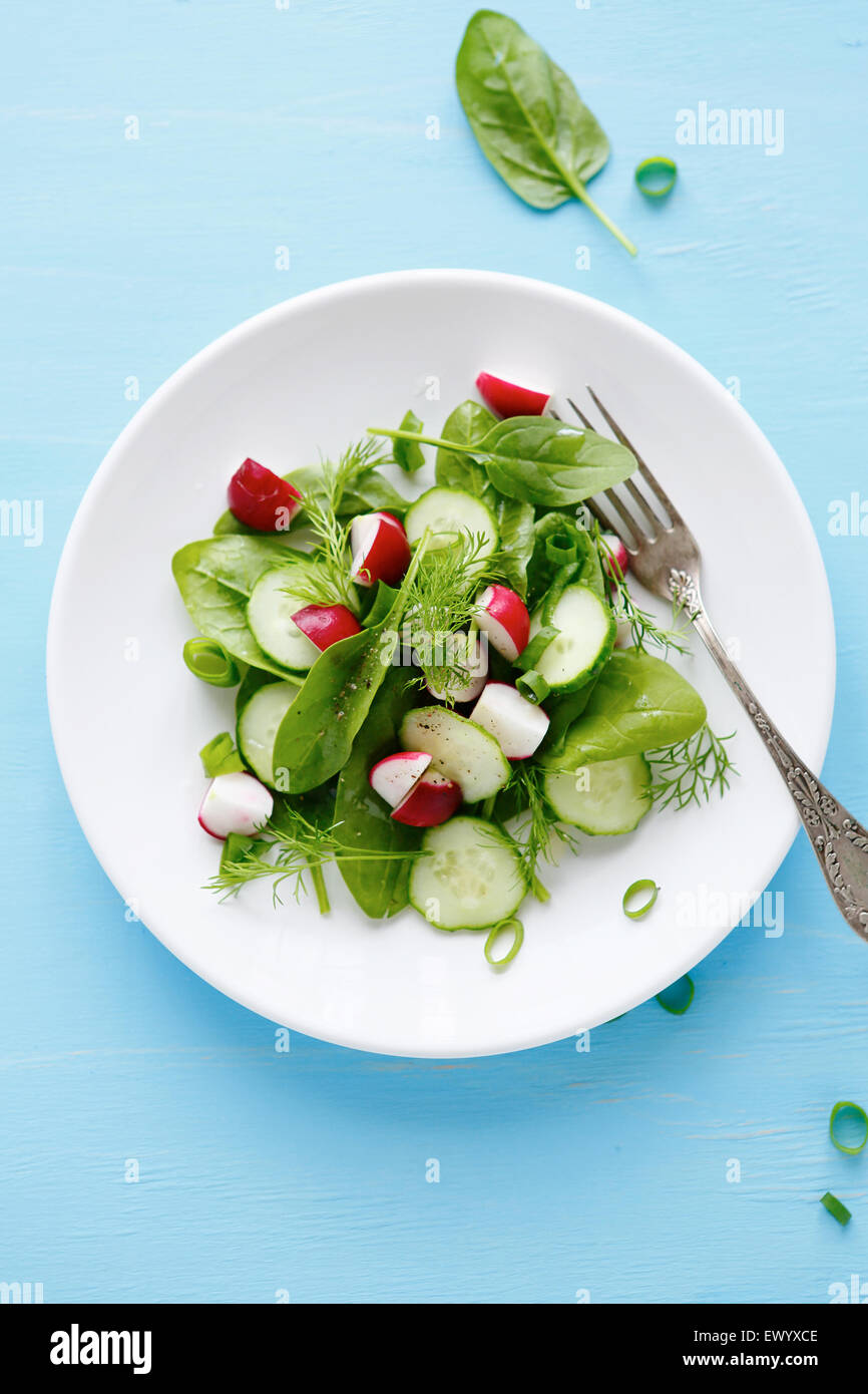 Sommer-Salat mit Radieschen und Gurken, Ansicht von oben Stockfoto