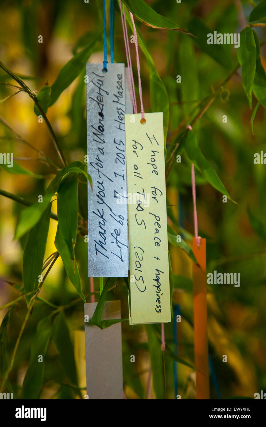 Ginza Tanaka-Schmuck-Shop zeigt einen Bambus-Baum geschmückt mit Gold und Platin Papier Streifen (Tanzaku) in Ginza, Tokio am 3. Juli 2015. Es ist japanischen Brauch, einen Wunsch auf einem Papierstreifen schreiben und hängen diese an einen Baum, um das jährliche Festival der Tanabata feiern. Nach dem Festival wird der Store die Gold- und Platinauszeichnungen Streifen der Akasaka Hie-Jinja Schrein anbieten. © Rodrigo Reyes Marin/AFLO/Alamy Live-Nachrichten Stockfoto