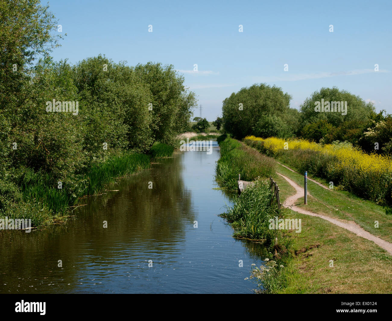Bridgwater und Taunton Kanal, Somerset, Großbritannien Stockfoto