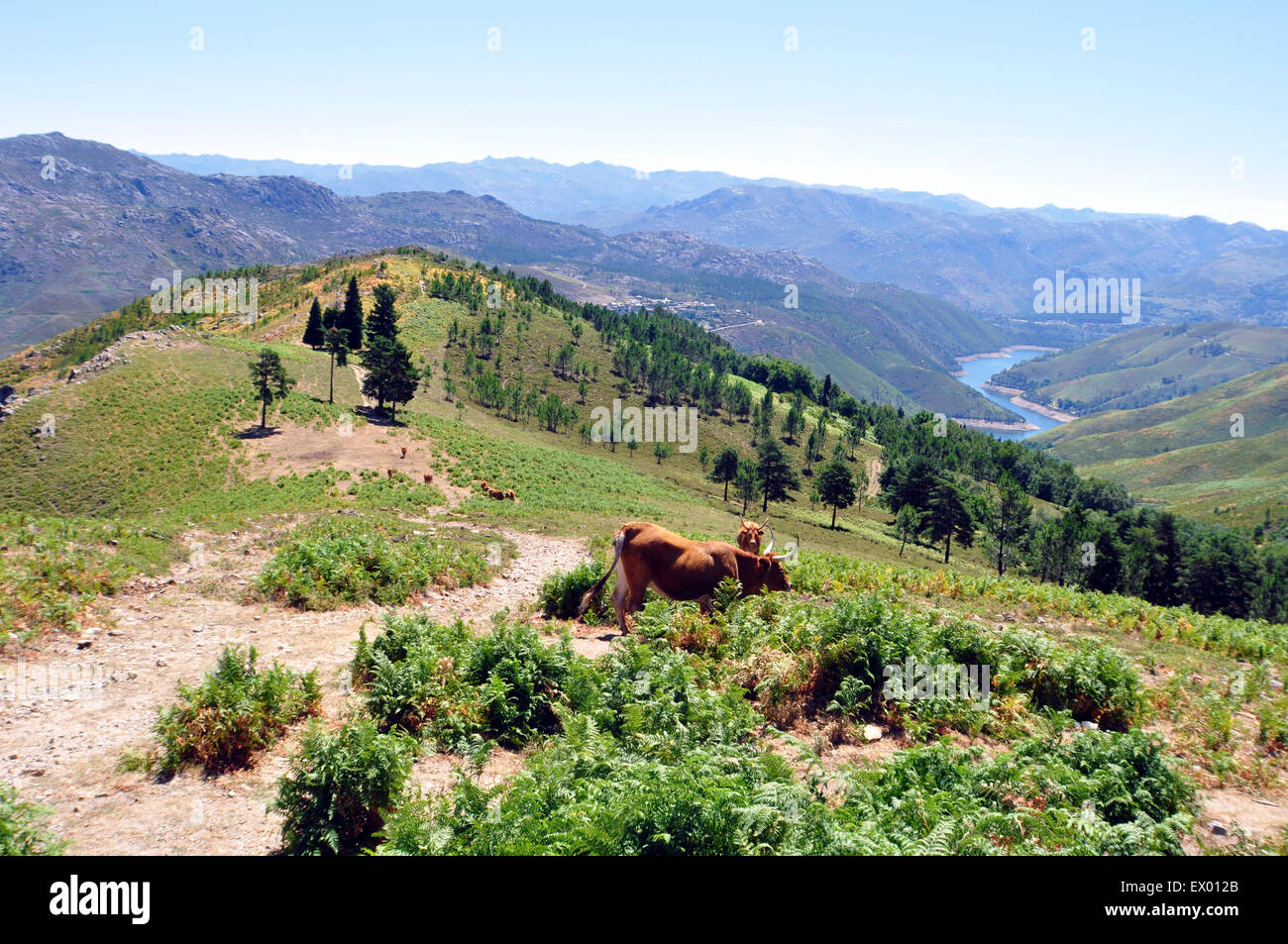 Mit Blick auf den Rio Lima, vom Nationalpark Peneda Geres Stockfoto