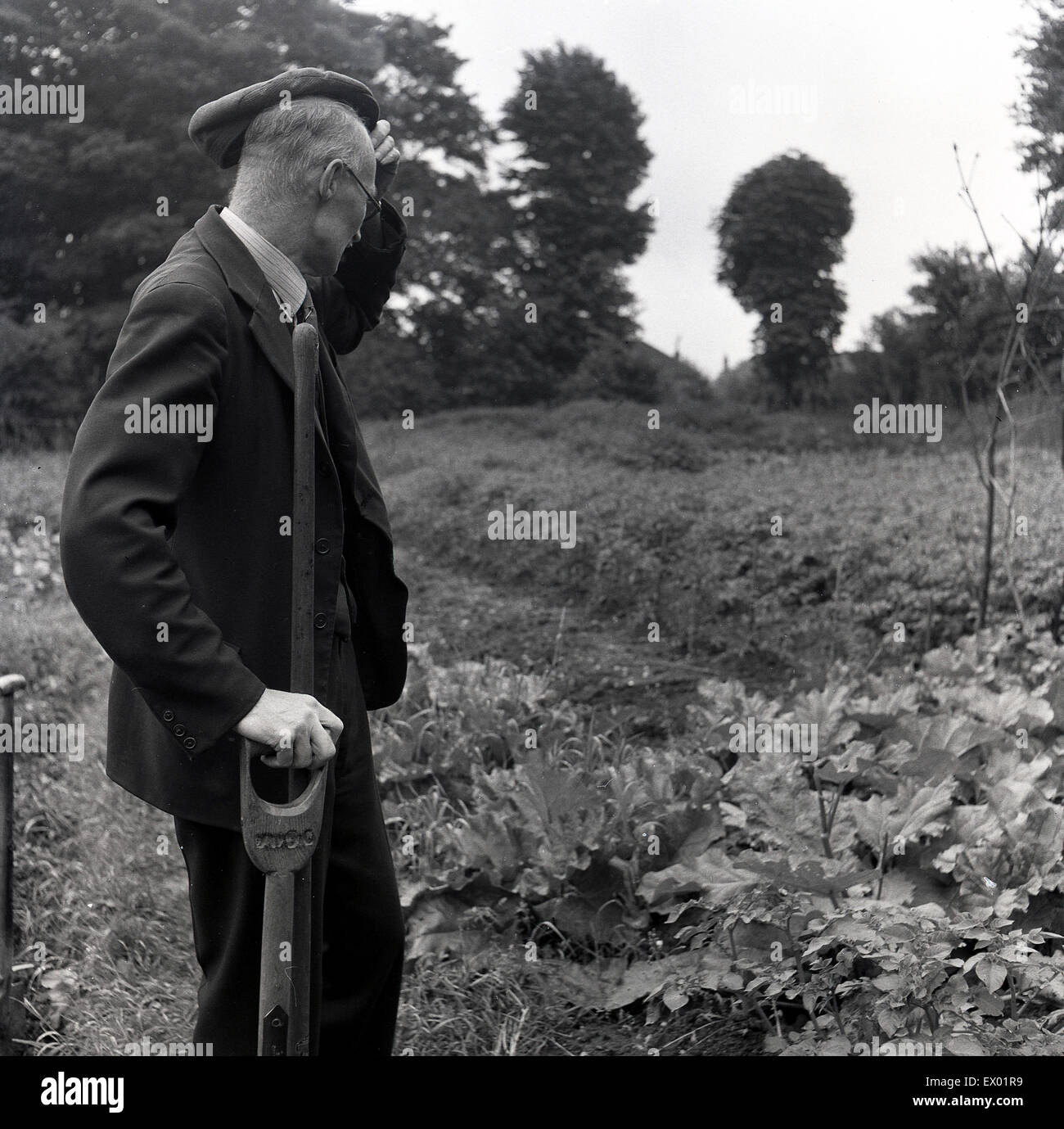 Historische, 1950er Jahre, Bild zeigt ein älterer Herr im Anzug bei einer Zuteilung mit einer Hand auf seinen Kopf signalisiert einen verwirrten oder verwirrten Zustand, warum seine Gemüse nicht wachsen. Stockfoto